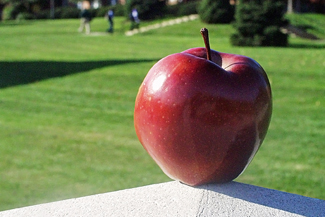 Photo of Apple on School Campus