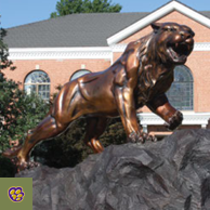 Bearcat Statue